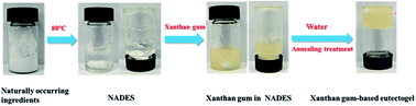 Graphical abstract: Highly biodegradable, thermostable eutectogels prepared by gelation of natural deep eutectic solvents using xanthan gum: preparation and characterization