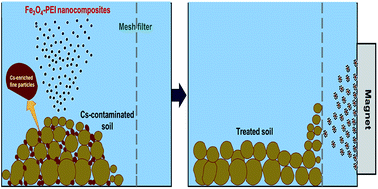 Graphical abstract: Application of polyethylenimine-coated magnetic nanocomposites for the selective separation of Cs-enriched clay particles from radioactive soil