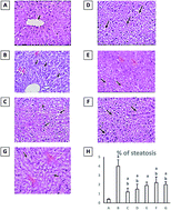 Graphical abstract: Rubia tinctorum root extracts: chemical profile and management of type II diabetes mellitus