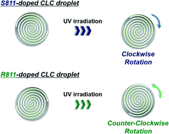 Graphical abstract: Photo-controllable rotational motion of cholesteric liquid crystalline droplets in a dispersion system