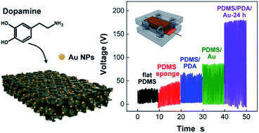 Graphical abstract: Dielectric control of porous polydimethylsiloxane elastomers with Au nanoparticles for enhancing the output performance of triboelectric nanogenerators