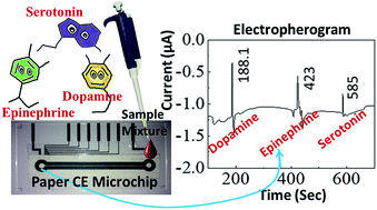 Graphical abstract: A decoupler-free simple paper microchip capillary electrophoresis device for simultaneous detection of dopamine, epinephrine and serotonin