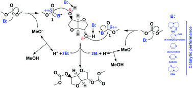 Graphical abstract: Isosorbide bis(methyl carbonate) synthesis from isosorbide and dimethyl carbonate: the key role of dual basic–nucleophilic catalysts