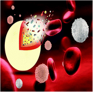Graphical abstract: Rational design of yolk–shell nanostructures for drug delivery