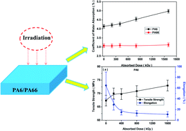 Graphical abstract: Electron beam irradiation influencing the mechanical properties and water absorption of polycaprolactam (PA6) and polyhexamethylene adipamide (PA66)