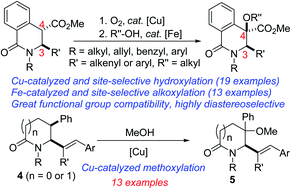 Graphical abstract: Site-selective, catalytic, and diastereoselective sp3 C–H hydroxylation and alkoxylation of vicinally functionalized lactams