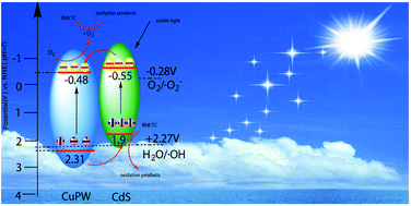 Graphical abstract: Synthesis of CdS-loaded (CuC10H26N6)3(PW12O40)2 for enhanced photocatalytic degradation of tetracycline under simulated solar light irradiation
