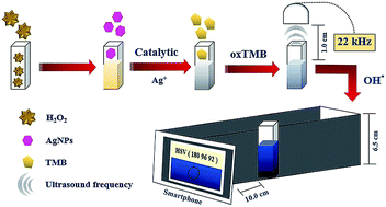 Graphical abstract: Development of an ultrasound-enhanced smartphone colorimetric biosensor for ultrasensitive hydrogen peroxide detection and its applications