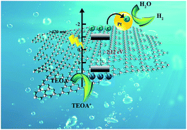 Graphical abstract: Synthesis of narrow-band curled carbon nitride nanosheets with high specific surface area for hydrogen evolution from water splitting by low-temperature aqueous copolymerization to form copolymers