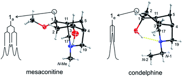 Graphical abstract: The 1α-hydroxy-A-rings of norditerpenoid alkaloids are twisted-boat conformers