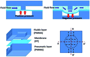 Graphical abstract: Toward a disposable low-cost LOC device: heterogeneous polymer micro valve and pump fabricated by UV/ozone-assisted thermal fusion bonding