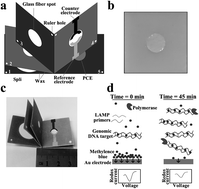 Graphical abstract: Origami-based “Book” shaped three-dimensional electrochemical paper microdevice for sample-to-answer detection of pathogens