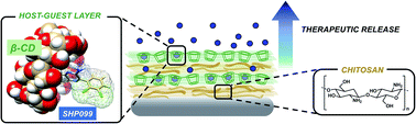 Graphical abstract: Controlled delivery of a protein tyrosine phosphatase inhibitor, SHP099, using cyclodextrin-mediated host–guest interactions in polyelectrolyte multilayer films for cancer therapy