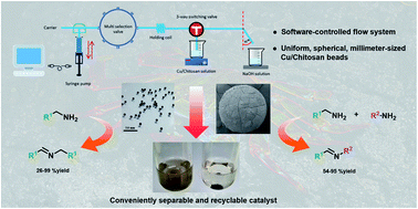 Graphical abstract: Uniform Cu/chitosan beads as a green and reusable catalyst for facile synthesis of imines via oxidative coupling reaction