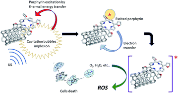 Graphical abstract: SWCNT–porphyrin nano-hybrids selectively activated by ultrasound: an interesting model for sonodynamic applications