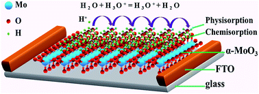 Graphical abstract: A highly transparent humidity sensor with fast response speed based on α-MoO3 thin films