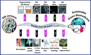 Graphical abstract: Silk fibroins in multiscale dimensions for diverse applications