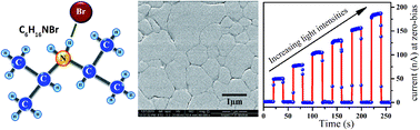 Graphical abstract: Physical vapor deposited organic ferroelectric diisopropylammonium bromide film and its self-powered photodetector characteristics