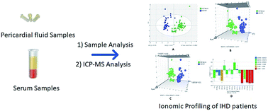 Graphical abstract: Ionomic profiling of pericardial fluid in ischemic heart disease