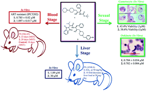 Graphical abstract: Multistage antiplasmodial activity of hydroxyethylamine compounds, in vitro and in vivo evaluations