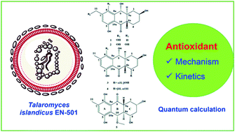 Graphical abstract: A thermodynamic and kinetic study of the antioxidant activity of natural hydroanthraquinones