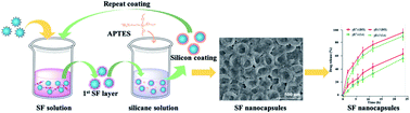 Graphical abstract: Inventing a facile method to construct Bombyx mori (B. mori) silk fibroin nanocapsules for drug delivery