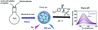 Graphical abstract: An easy synthesis of nitrogen and phosphorus co-doped carbon dots as a probe for chloramphenicol