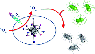 Graphical abstract: Photodynamic properties of tungsten iodide clusters incorporated into silicone: A2[M6I8L6]@silicone