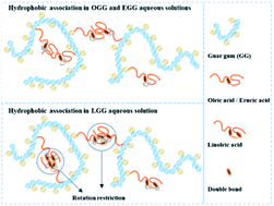 Graphical abstract: Rheological behaviours of guar gum derivatives with hydrophobic unsaturated long-chains