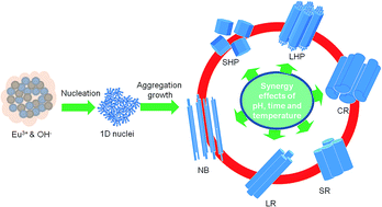 Graphical abstract: Hydrothermal control, characterization, growth mechanism, and photoluminescence properties of highly crystalline 1D Eu(OH)3 nanostructures