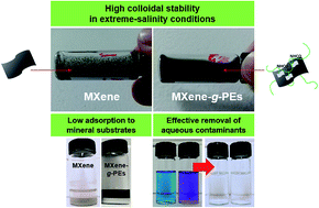 Graphical abstract: Polyelectrolyte-grafted Ti3C2-MXenes stable in extreme salinity aquatic conditions for remediation of contaminated subsurface environments