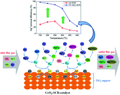 Graphical abstract: Enhancement of CeO2 modified commercial SCR catalyst for synergistic mercury removal from coal combustion flue gas