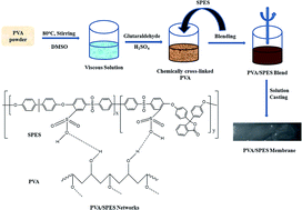 Graphical abstract: Novel cross-linked poly(vinyl alcohol)-based electrolyte membranes for fuel cell applications