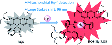 Graphical abstract: A near-infrared fluorescent probe with an improved Stokes shift achieved by tuning the donor–acceptor–donor character of the rhodamine skeleton and its applications