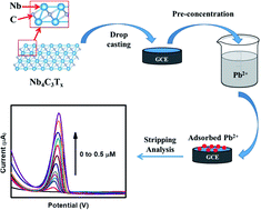 Graphical abstract: Large interlayer spacing Nb4C3Tx (MXene) promotes the ultrasensitive electrochemical detection of Pb2+ on glassy carbon electrodes