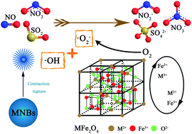 Graphical abstract: Recyclable MFe2O4 (M = Mn, Zn, Cu, Ni, Co) coupled micro–nano bubbles for simultaneous catalytic oxidation to remove NOx and SO2 in flue gas