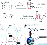 Graphical abstract: Polymeric nanoparticles based on carboxymethyl chitosan in combination with painless microneedle therapy systems for enhancing transdermal insulin delivery