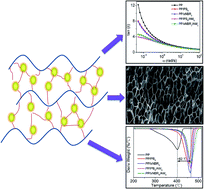 Graphical abstract: The effects of rubber nanoparticles with different polarities on thermal properties and foaming performance of polypropylene blends