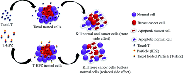Graphical abstract: Effective in vitro delivery of paclitaxel by nanocargo of mesoporous polycaprolactone against triple negative breast cancer cells by minimalizing drug dose