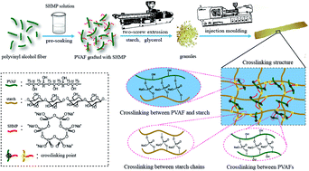 Graphical abstract: A novel method to produce sustainable biocomposites based on thermoplastic corn-starch reinforced by polyvinyl alcohol fibers