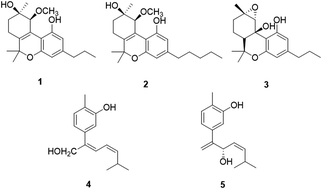 Graphical abstract: Neuroprotective constituents from the aerial parts of Cannabis sativa L. subsp. sativa