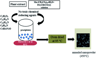 Graphical abstract: Phyto-inspired and scalable approach for the synthesis of PdO–2Mn2O3: a nano-material for application in water splitting electro-catalysis