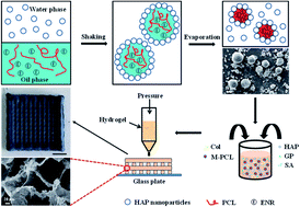 Graphical abstract: Sodium alginate/collagen composite multiscale porous scaffolds containing poly(ε-caprolactone) microspheres fabricated based on additive manufacturing technology