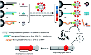 Graphical abstract: Enhanced functional DNA biosensor for distance-based read-by-eye quantification of various analytes based on starch-hydrolysis-adjusted wettability change in paper devices