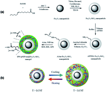 Graphical abstract: Magnetic thermally sensitive interpenetrating polymer network (IPN) nanogels: IPN-pNIPAm@Fe2O3-SiO2