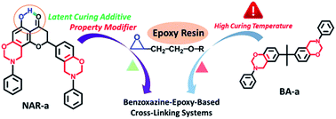 Graphical abstract: A naringenin-based benzoxazine with an intramolecular hydrogen bond as both a thermal latent polymerization additive and property modifier for epoxy resins
