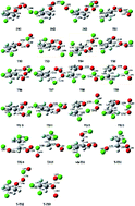 Graphical abstract: Theoretical investigation of the reaction mechanisms and kinetics of CFCl2CH2O2 and ClO in the atmosphere