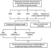 Graphical abstract: Construction of a silicate-based epitaxial transition film on a zirconia ceramic surface to improve the bonding quality of zirconia restorations