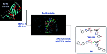 Graphical abstract: Understanding the role of galectin inhibitors as potential candidates for SARS-CoV-2 spike protein: in silico studies