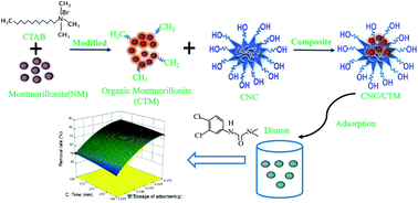 Graphical abstract: Nanocellulose–organic montmorillonite nanocomposite adsorbent for diuron removal from aqueous solution: optimization using response surface methodology